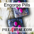 Engorge Pills 01